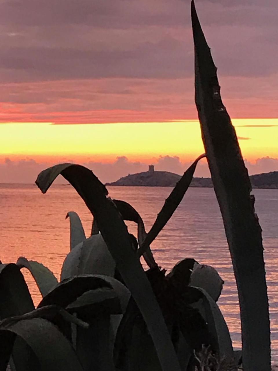 Hotel Thalassa Cargèse Eksteriør bilde