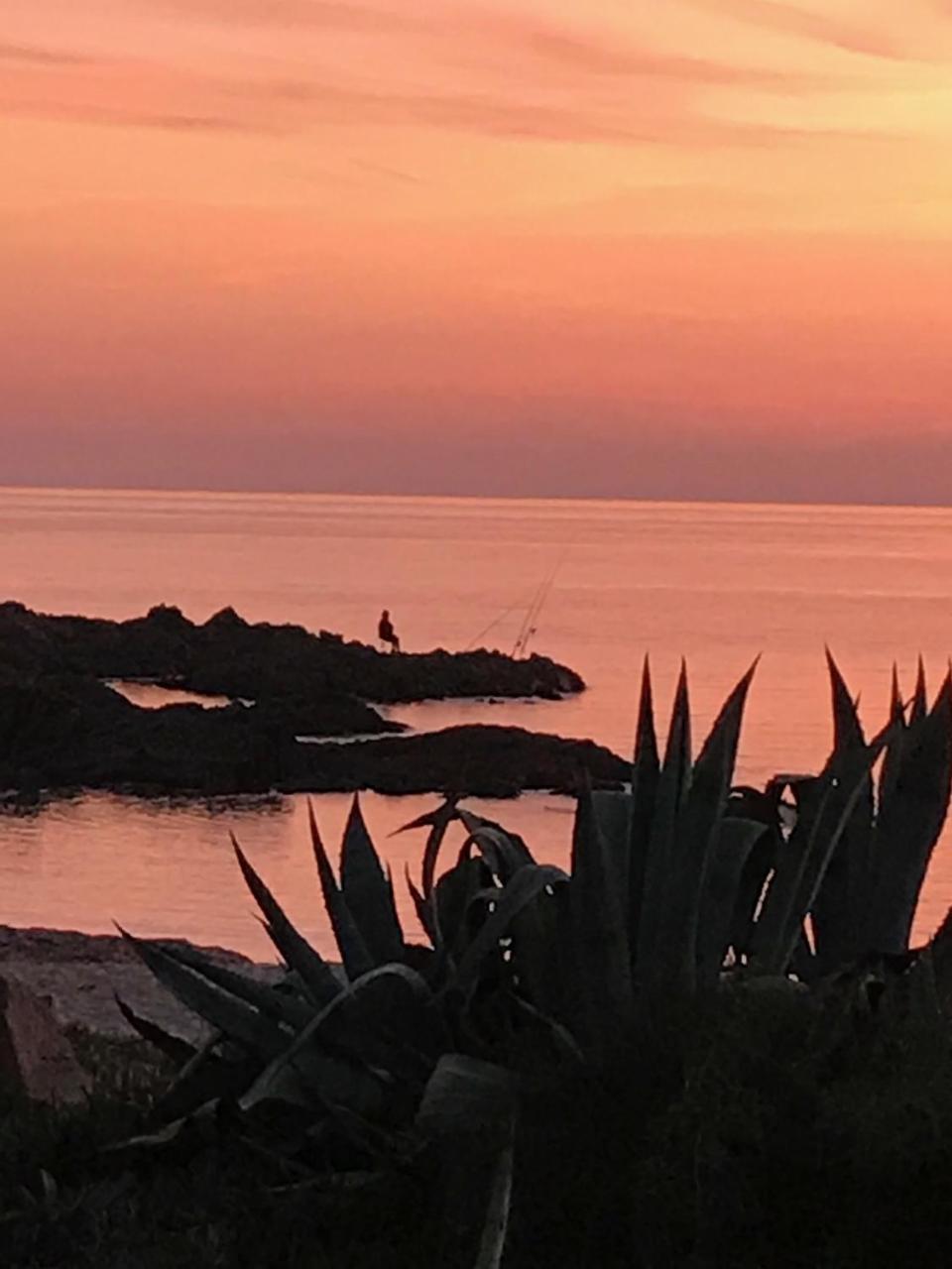 Hotel Thalassa Cargèse Eksteriør bilde